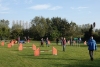 Agility-clubwedstrijd-2024-100