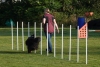 Agility-clubwedstrijd-2024-105