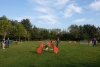 Agility-clubwedstrijd-2024-106