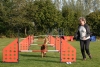 Agility-clubwedstrijd-2024-107