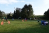 Agility-clubwedstrijd-2024-109