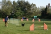 Agility-clubwedstrijd-2024-110