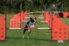 Agility-clubwedstrijd-2024-111