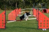 Agility-clubwedstrijd-2024-112