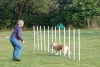 Agility-clubwedstrijd-2024-116