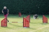 Agility-clubwedstrijd-2024-117
