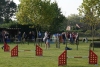 Agility-clubwedstrijd-2024-118