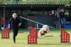 Agility-clubwedstrijd-2024-119