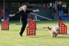 Agility-clubwedstrijd-2024-120