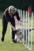 Agility-clubwedstrijd-2024-121