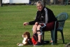 Agility-clubwedstrijd-2024-122