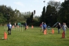 Agility-clubwedstrijd-2024-126
