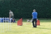 Agility-clubwedstrijd-2024-129