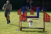 Agility-clubwedstrijd-2024-133