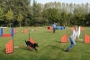 Agility-clubwedstrijd-2024-136