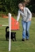 Agility-clubwedstrijd-2024-138