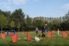 Agility-clubwedstrijd-2024-139