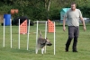 Agility-clubwedstrijd-2024-146