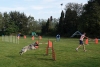 Agility-clubwedstrijd-2024-148
