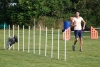 Agility-clubwedstrijd-2024-149