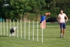 Agility-clubwedstrijd-2024-150
