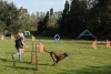 Agility-clubwedstrijd-2024-151