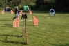 Agility-clubwedstrijd-2024-152
