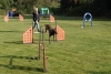 Agility-clubwedstrijd-2024-153