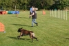 Agility-clubwedstrijd-2024-154