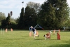 Agility-clubwedstrijd-2024-155