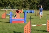 Agility-clubwedstrijd-2024-157