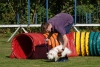 Agility-clubwedstrijd-2024-161