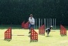 Agility-clubwedstrijd-2024-164