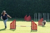 Agility-clubwedstrijd-2024-170