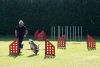 Agility-clubwedstrijd-2024-172
