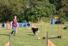 Agility-clubwedstrijd-2024-175