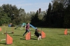 Agility-clubwedstrijd-2024-176
