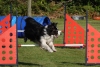 Agility-clubwedstrijd-2024-178