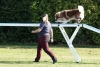 Agility-clubwedstrijd-2024-182