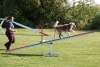 Agility-clubwedstrijd-2024-184
