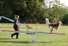 Agility-clubwedstrijd-2024-185