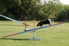 Agility-clubwedstrijd-2024-192