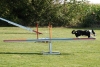 Agility-clubwedstrijd-2024-193