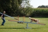 Agility-clubwedstrijd-2024-198