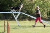 Agility-clubwedstrijd-2024-203