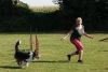 Agility-clubwedstrijd-2024-204