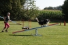 Agility-clubwedstrijd-2024-205