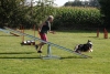 Agility-clubwedstrijd-2024-206