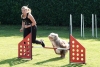 Agility-clubwedstrijd-2024-207
