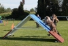 Agility-clubwedstrijd-2024-208